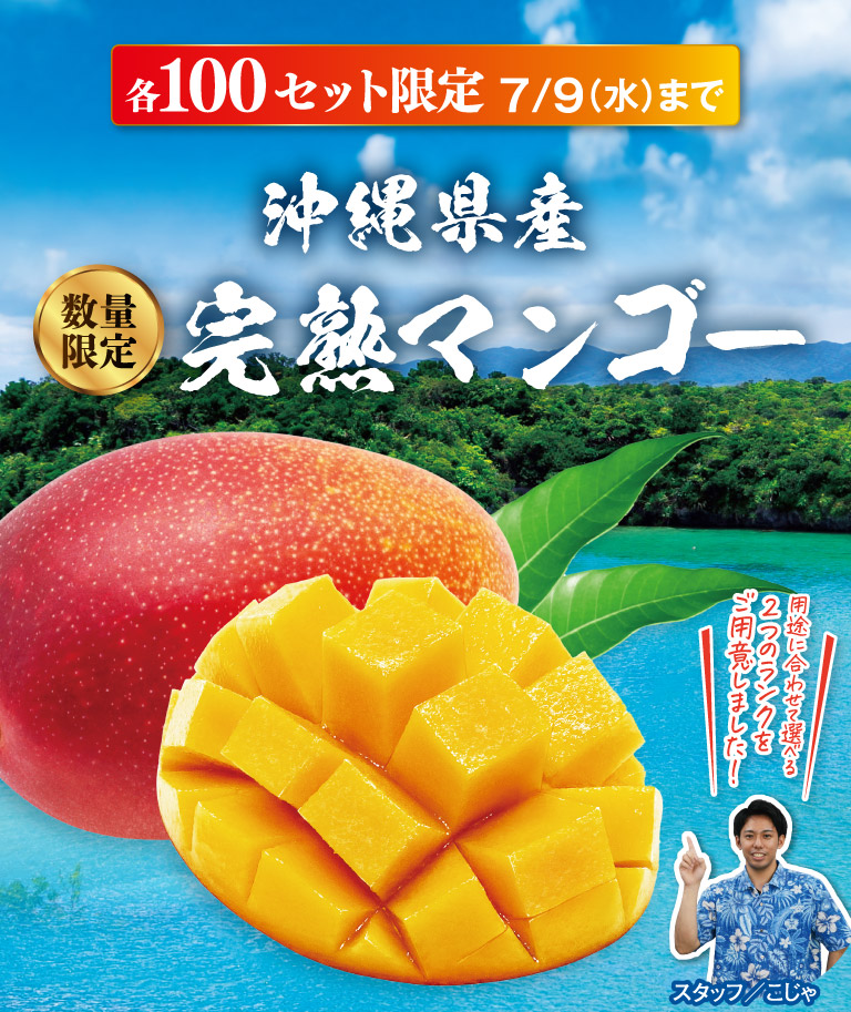 沖縄県産完熟マンゴー