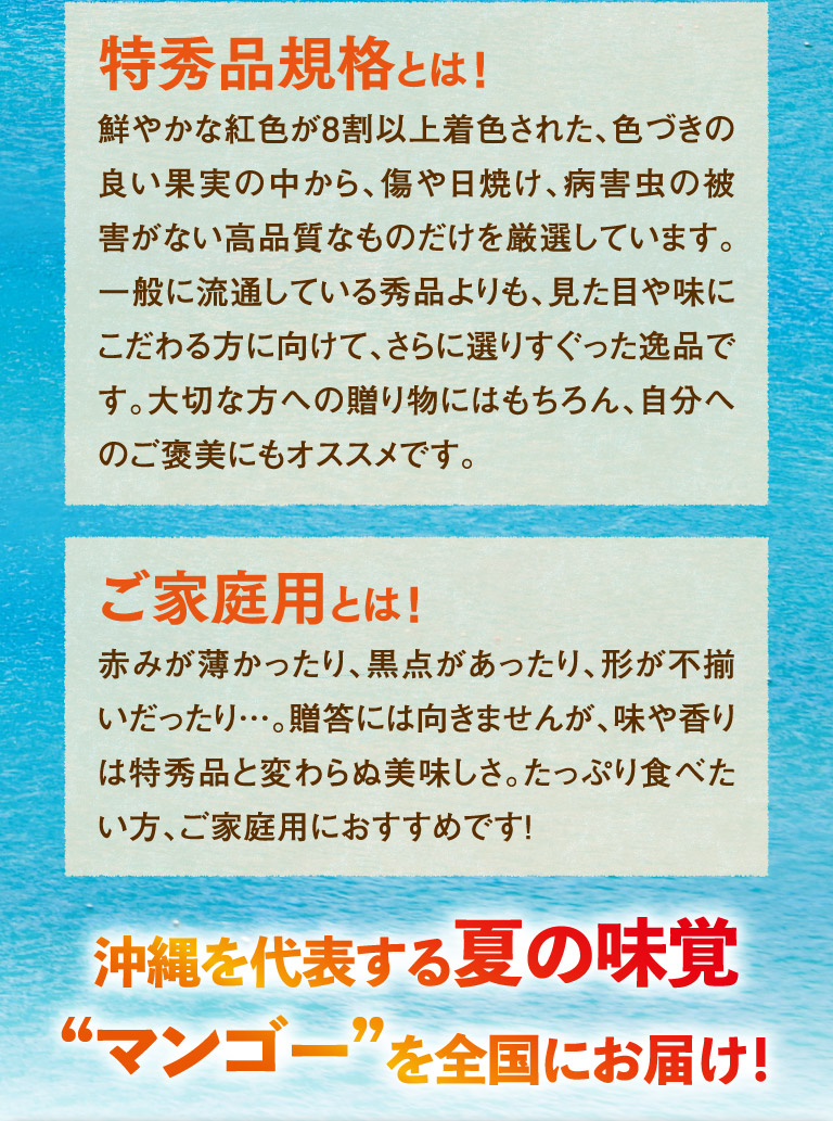 特秀品規格とは！