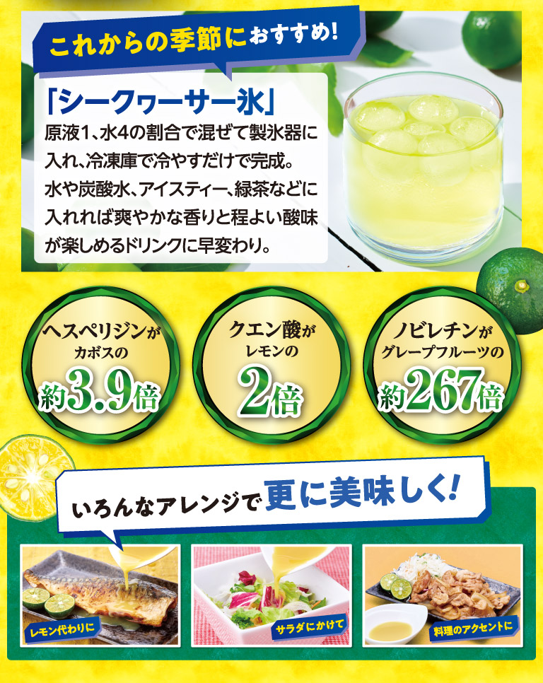 これからの季節におすすめ！
