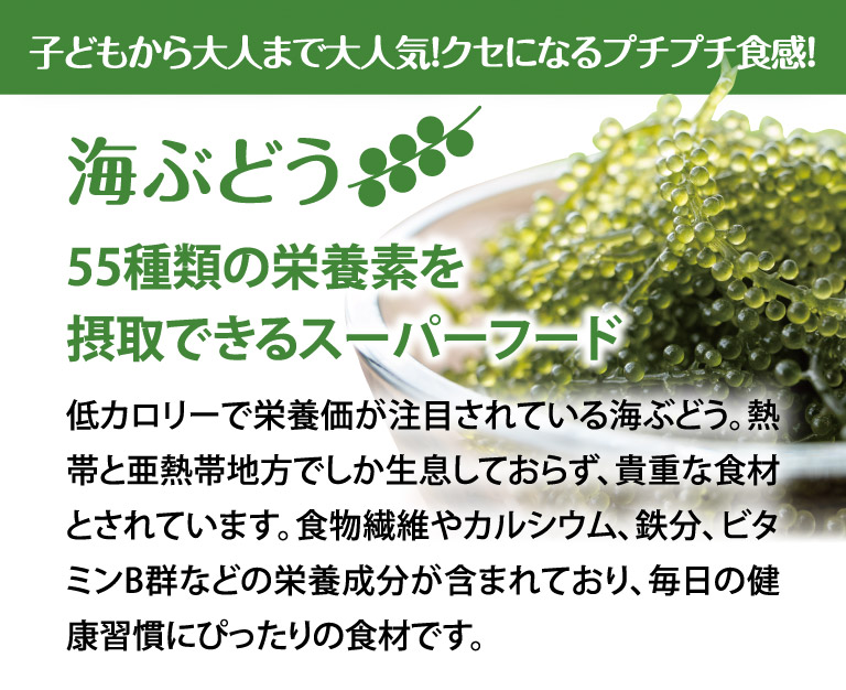 子どもから大人まで大人気！クセになるプチプチ食感！