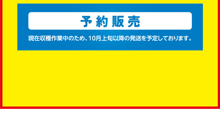 予約販売