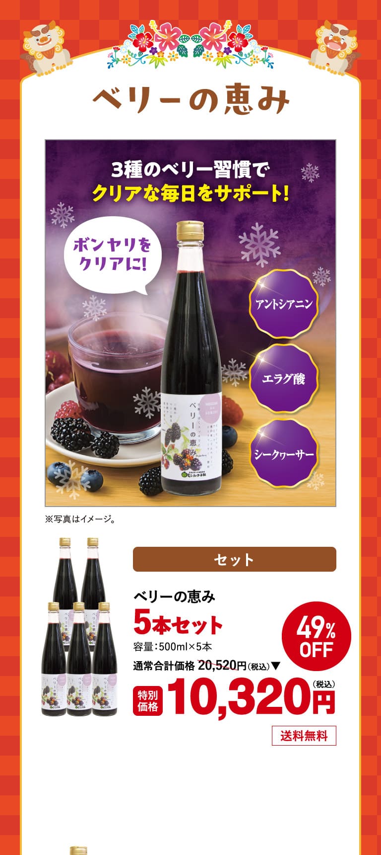 ベリーの恵み5本セット