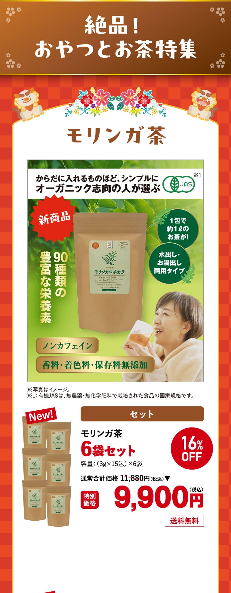 モリンガ茶6袋セット