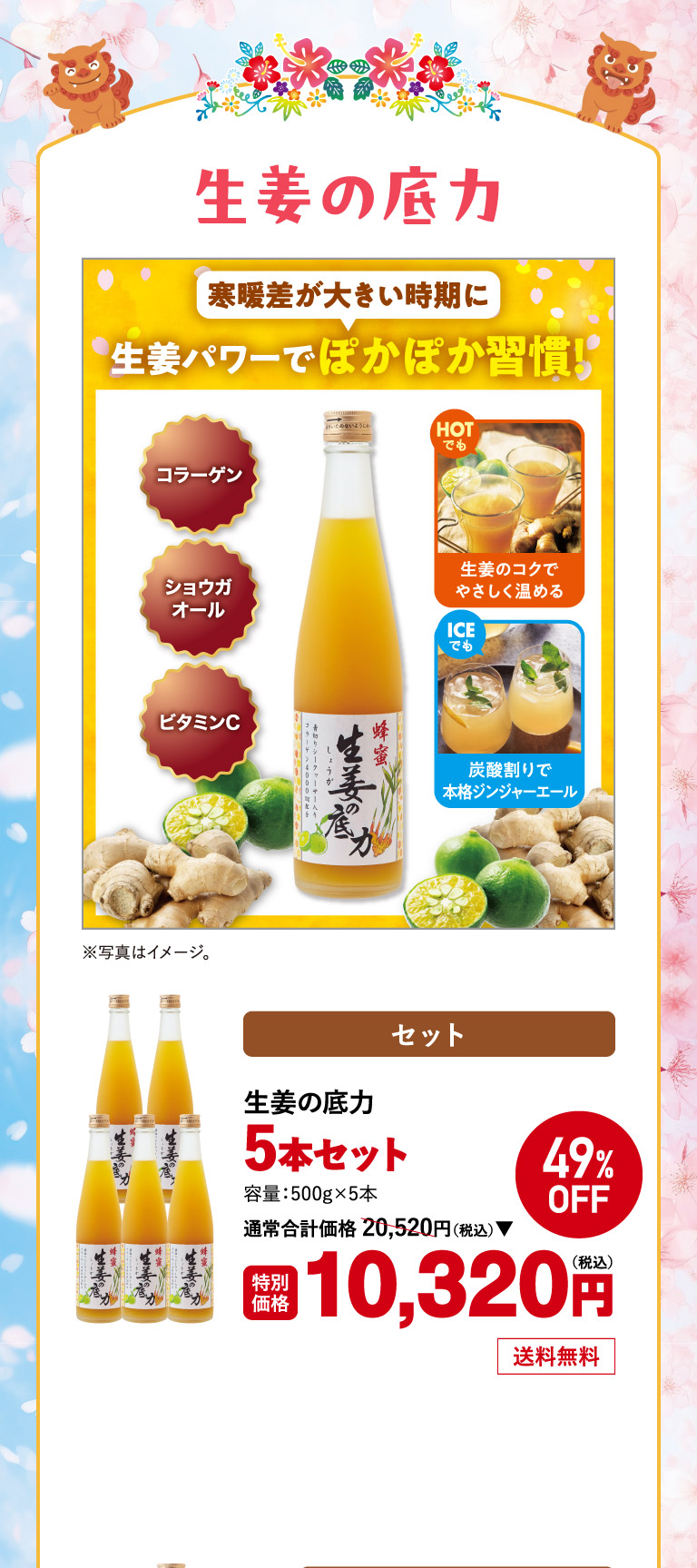 生姜の底力5本セットo