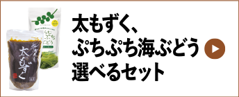 太もずく、ぷちぷち海ぶどう選べるセット