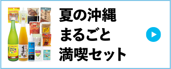 夏の沖縄まるごと満喫セット