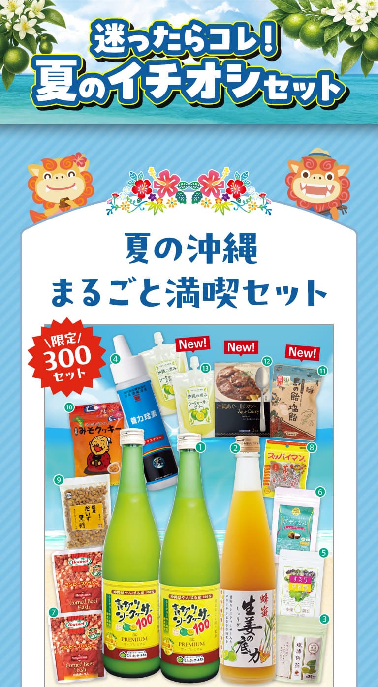 夏の沖縄まるごと満喫セット