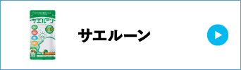サエルーン