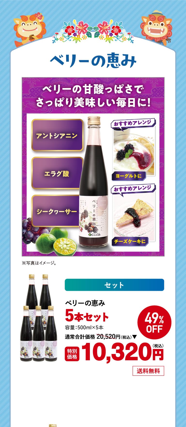 ベリーの恵み5本 1o