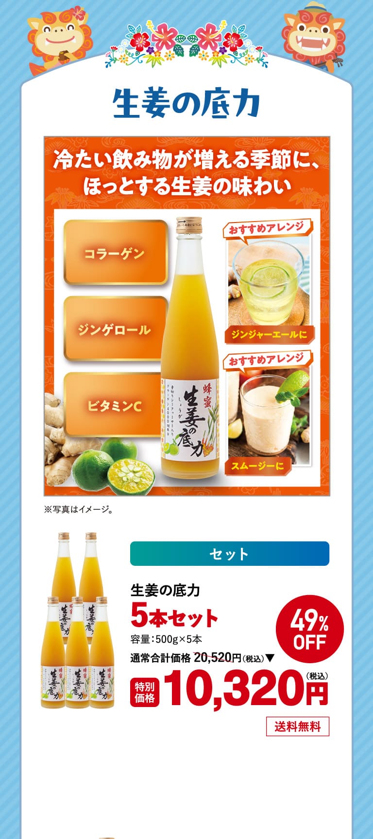 生姜の底力5本 1o