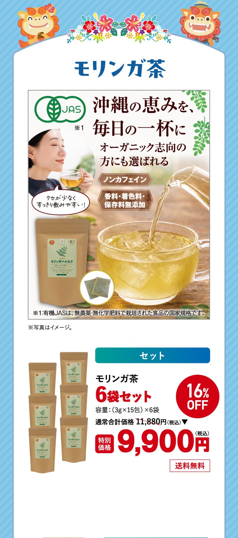 モリンガ茶6袋1o