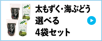 太もずく・海ぶどう選べる4袋セット