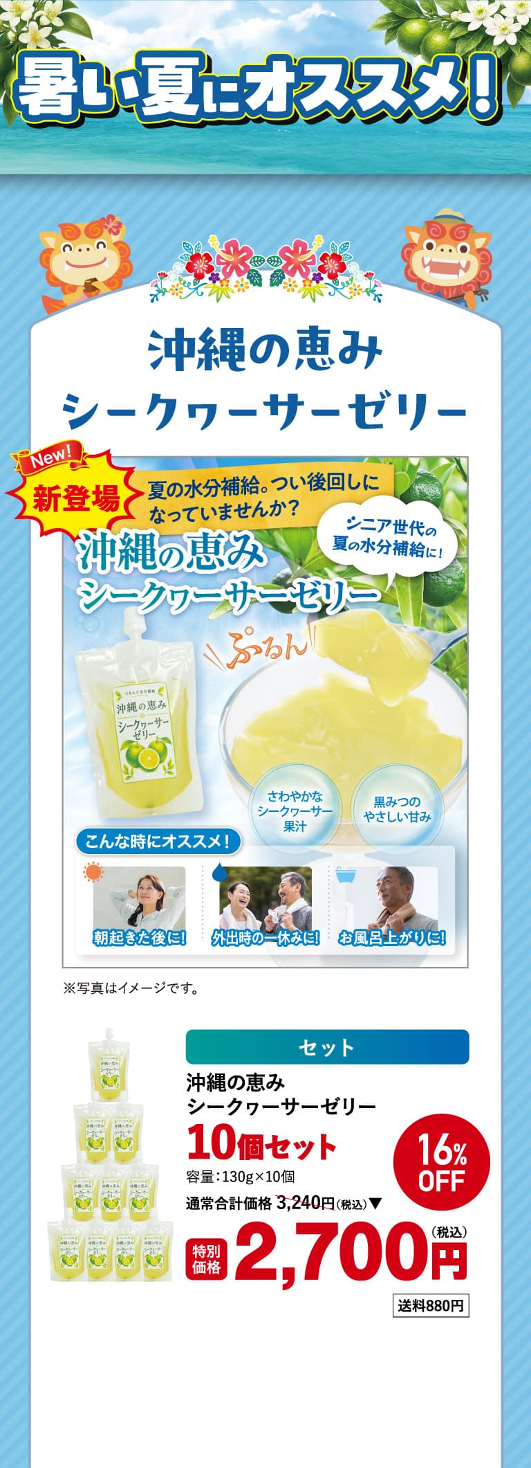 沖縄の恵みシークヮーサーゼリー10個1o