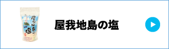 屋我地島の塩