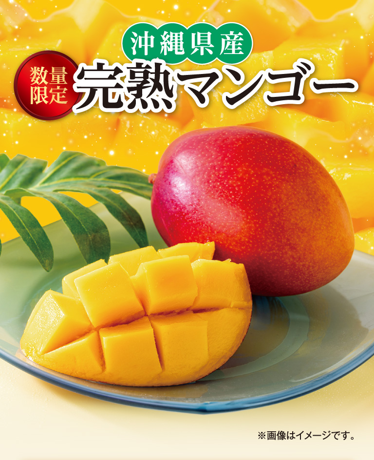 数量限定　沖縄県産完熟マンゴー