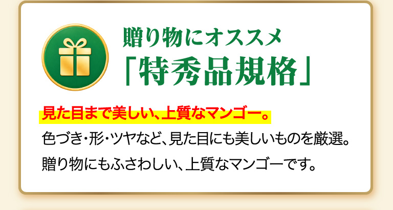 贈り物にオススメ「特秀品企画」見た目まで美しい、上質なマンゴー