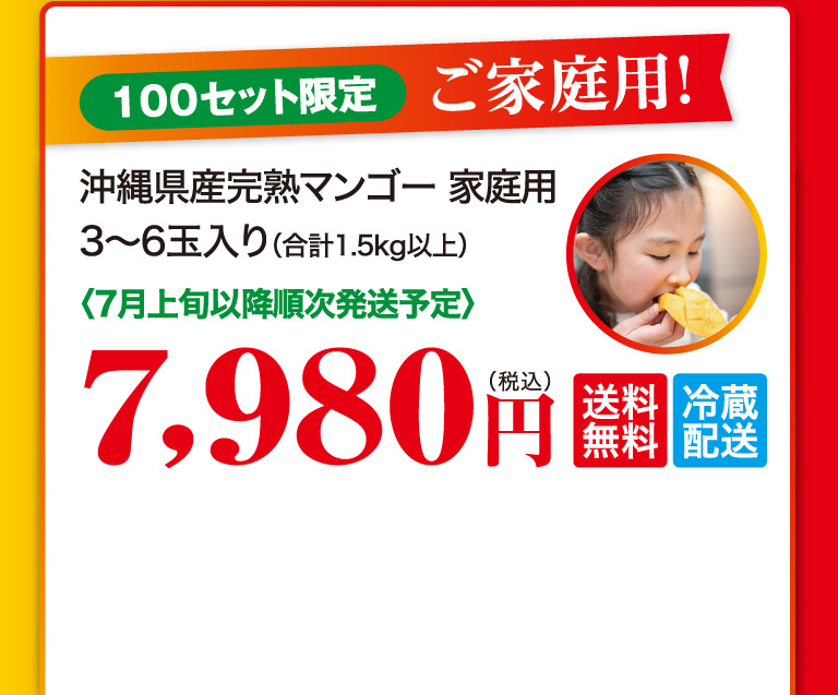 100セット限定　贈り物に！ ご家庭用3〜6玉入り