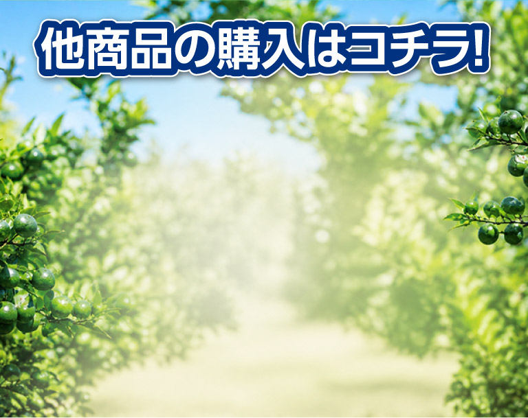 他商品の購入はコチラ