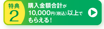 特典2