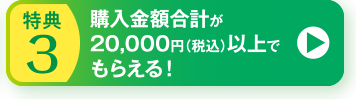 特典3