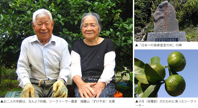 ��������������� ��Ļ�����