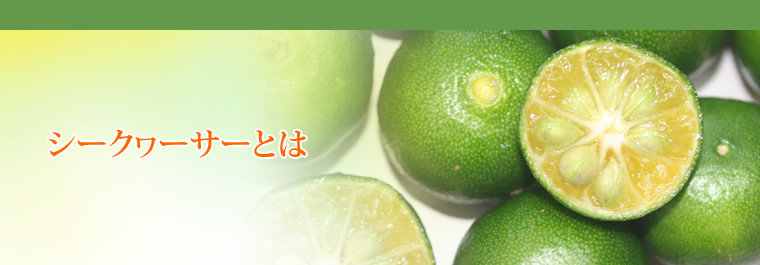 シークヮーサーとは