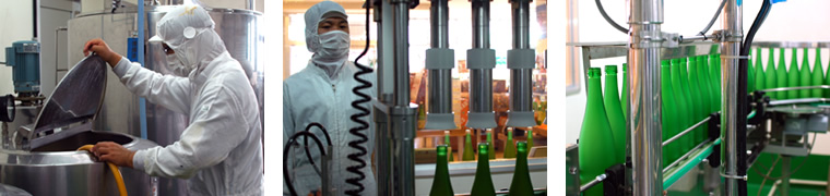 �̿���������