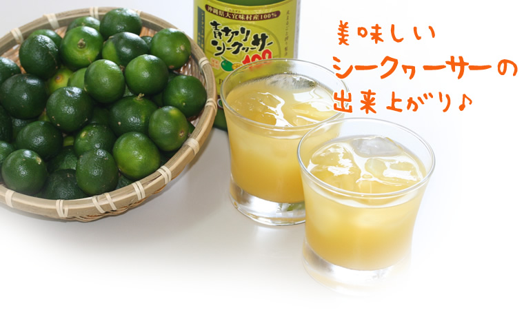 �̿�����̣�������ڤꥷ����������ν���夬�ꡣ