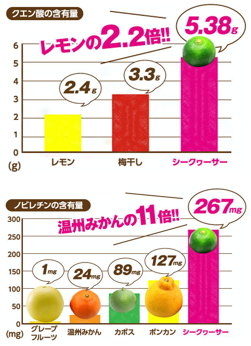 シークヮーサーとは 沖縄シークヮーサー本舗