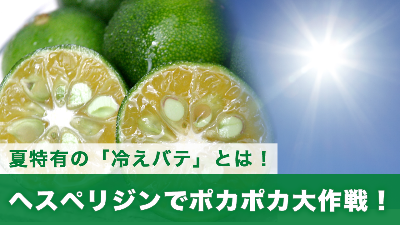 夏バテならぬ「冷えバテ」とは！？シークワーサーに豊富に含まれるヘスペリジンでポカポカ大作戦！