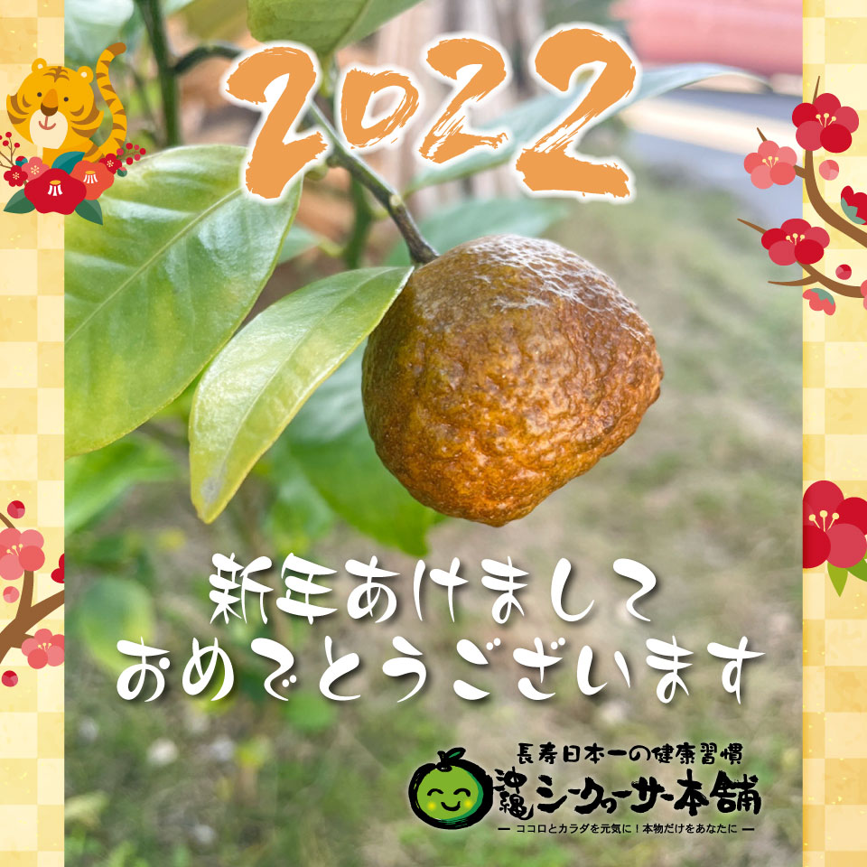 新年のご挨拶