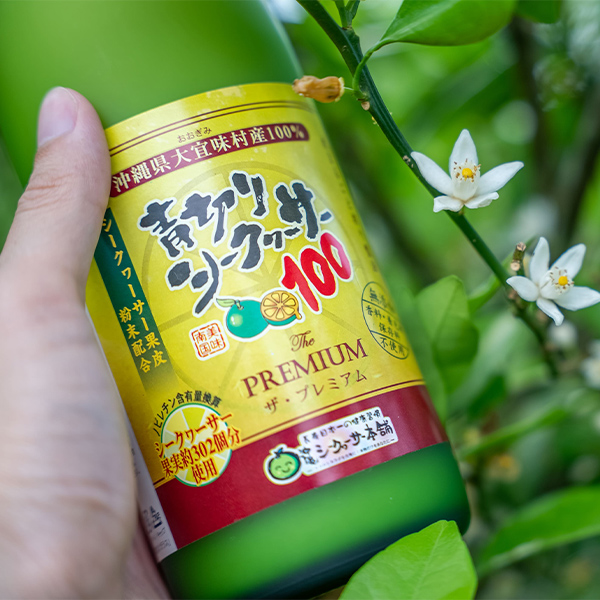 シークワーサーで ちむどんどん 花が咲きました 沖縄シークヮーサー本舗
