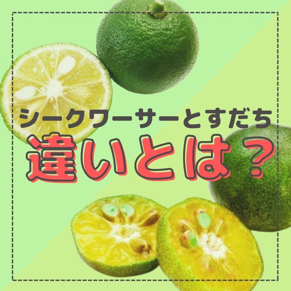 似ているようで全然違う！？シークワーサーとすだちの違いと栄養についてご紹介！