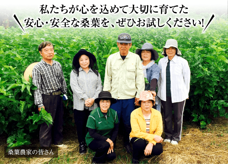 桑茶農家