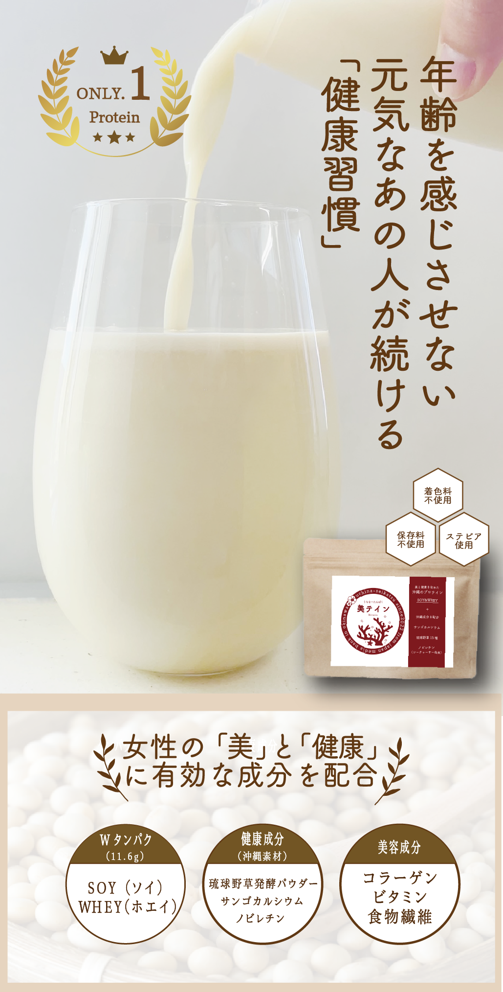 うちなープロテイン 美テイン画像1