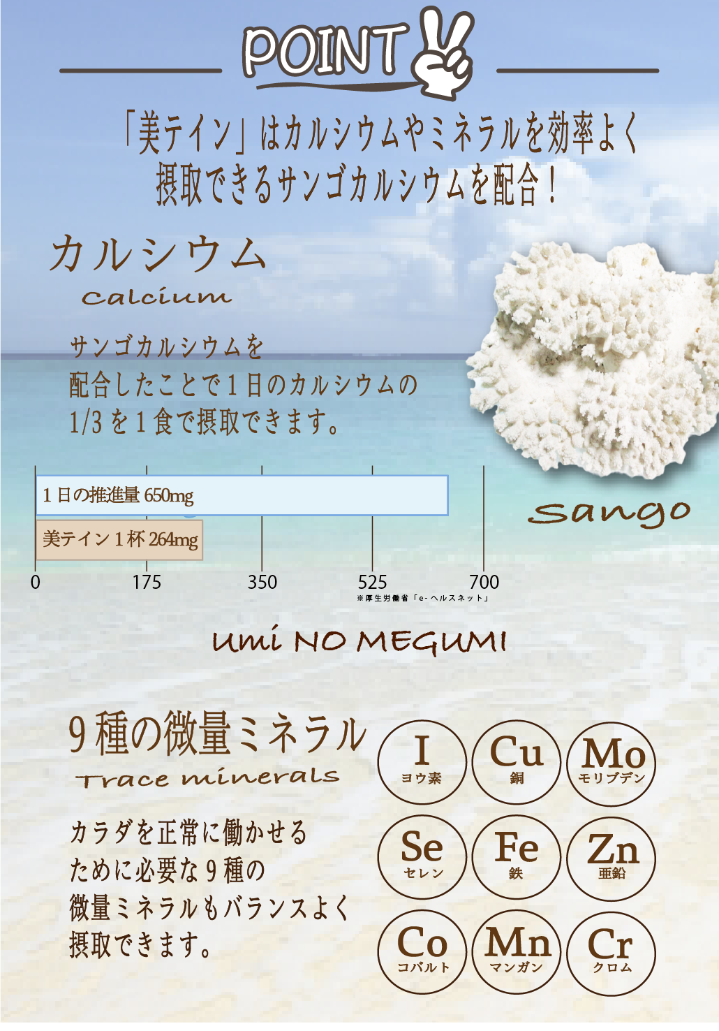 うちなープロテイン 美テイン画像9