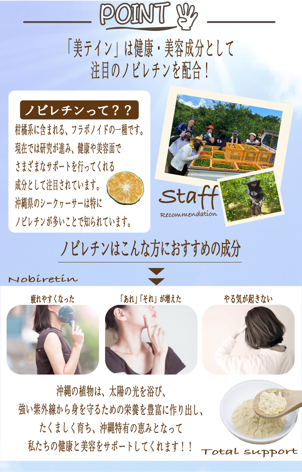 うちなープロテイン 美テイン画像8