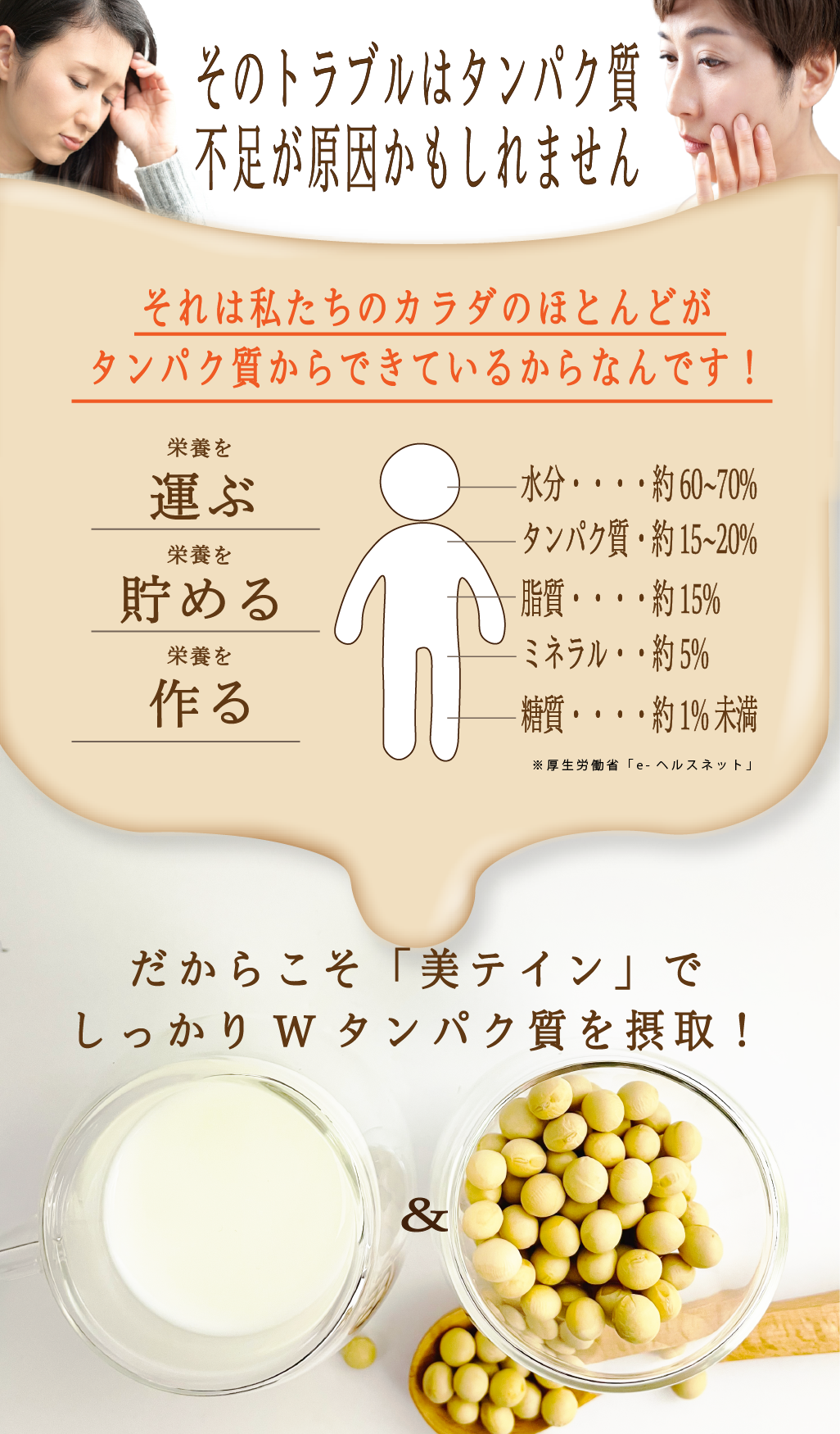 うちなープロテイン 美テイン画像6