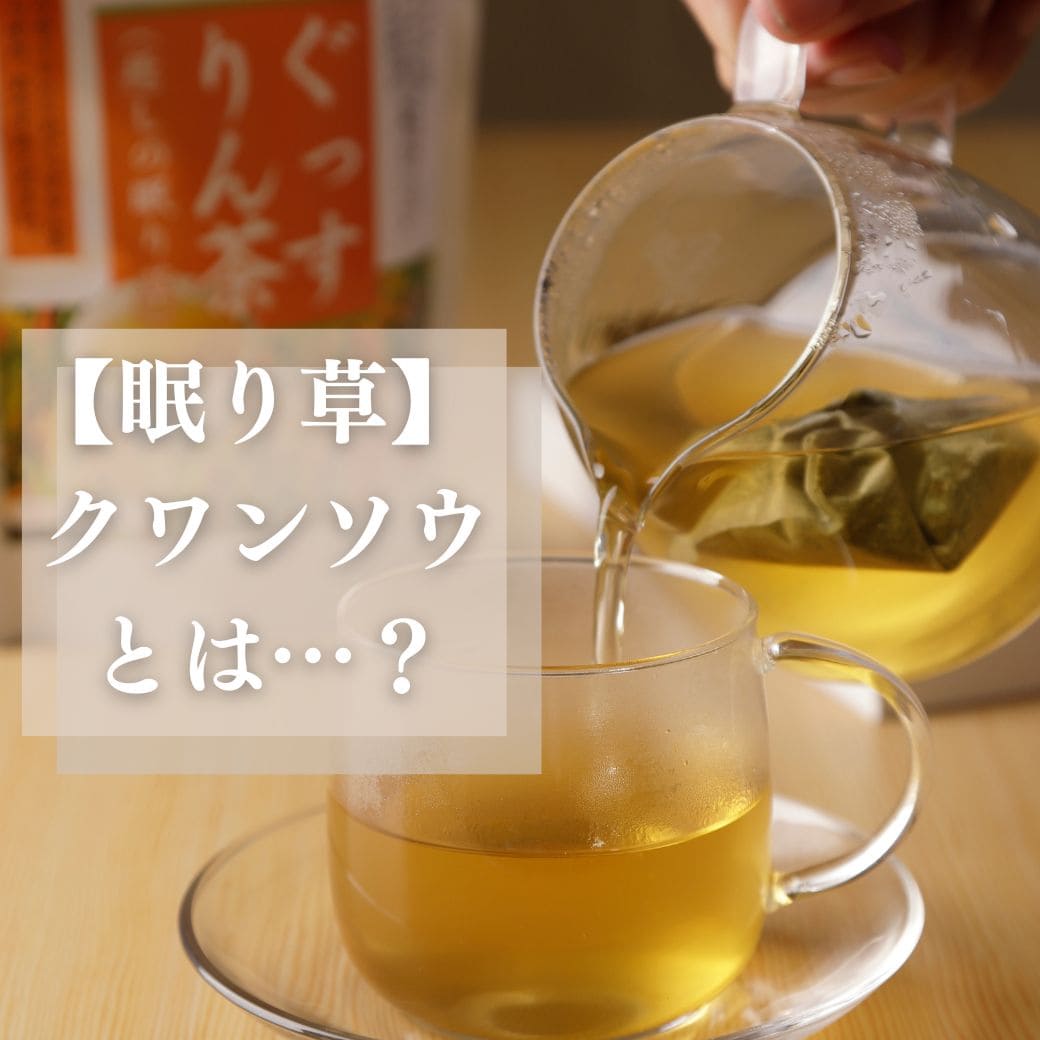 【夜の野草】沖縄に伝わる「クワンソウ」ってどうなの…？クワンソウを使ったお茶「ぐっすりん茶」をみんなで飲んでみました！