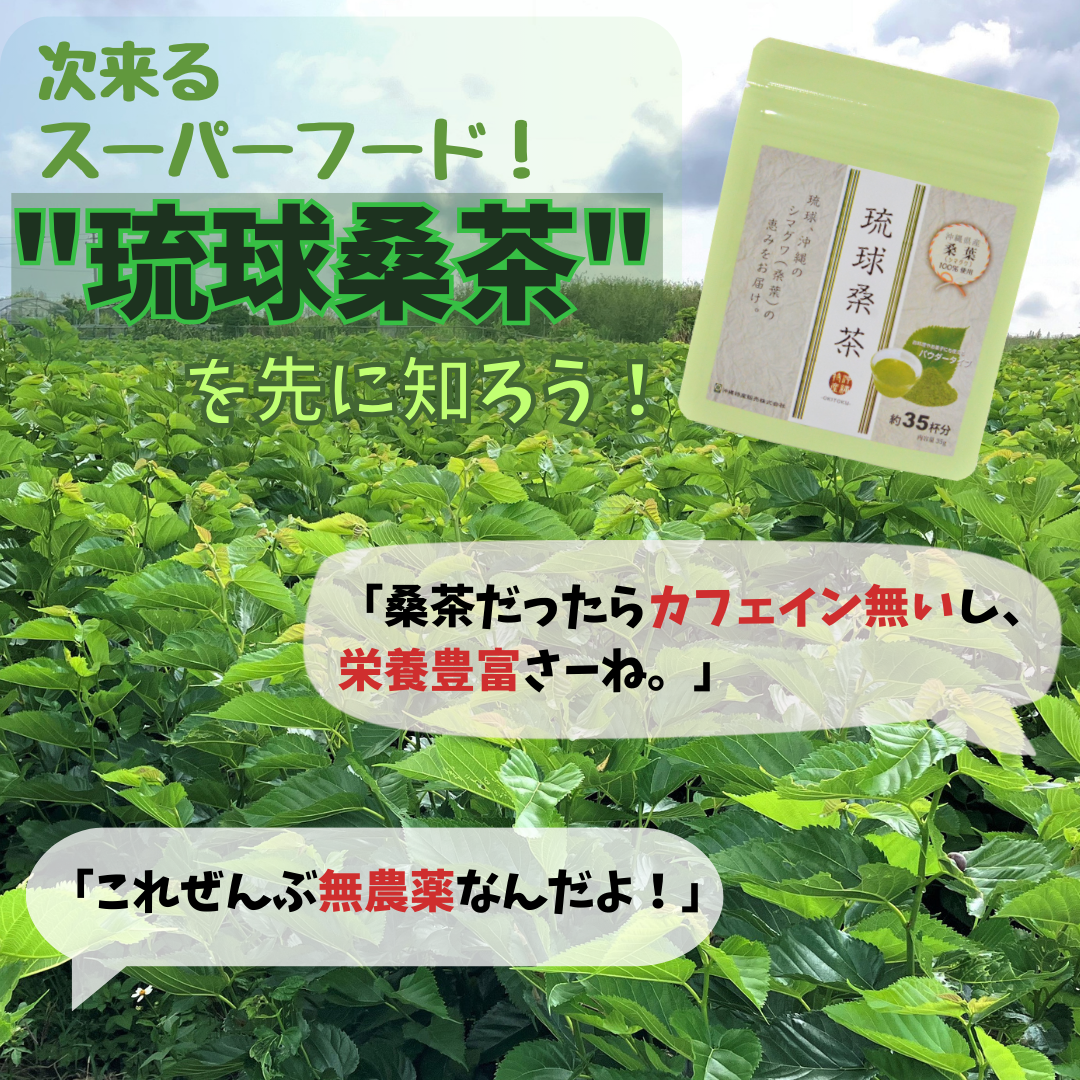 【期待が大きいスーパーフード!!】桑の葉から作られる琉球桑茶を今から知ろう！