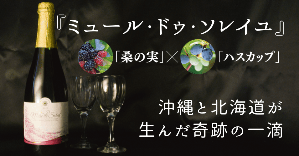 【沖縄と北海道が生んだ奇跡の一滴】『ミュール・ド・ソレイユ』希少果実のフルーツワインとは？