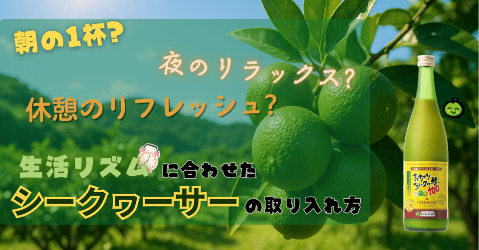 朝の1杯？夜のリラックス？生活リズムに合わせたシークヮーサーの取り入れ方は？