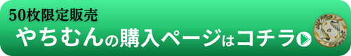 やちむん特集を見る
