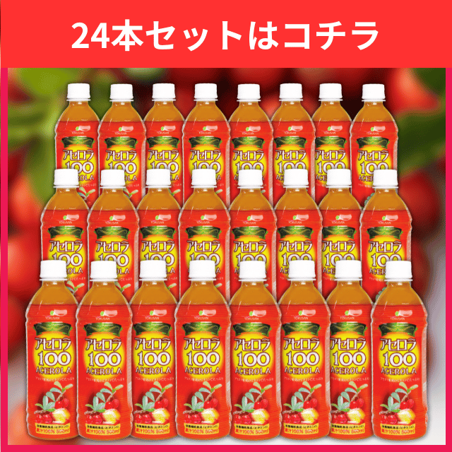 アセロラ100 24本セット