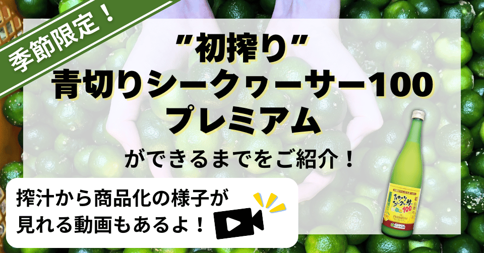 今年も”限定販売！”『初搾り青切りシークヮーサー100プレミアム』ができるまで！！(搾汁動画付き！)