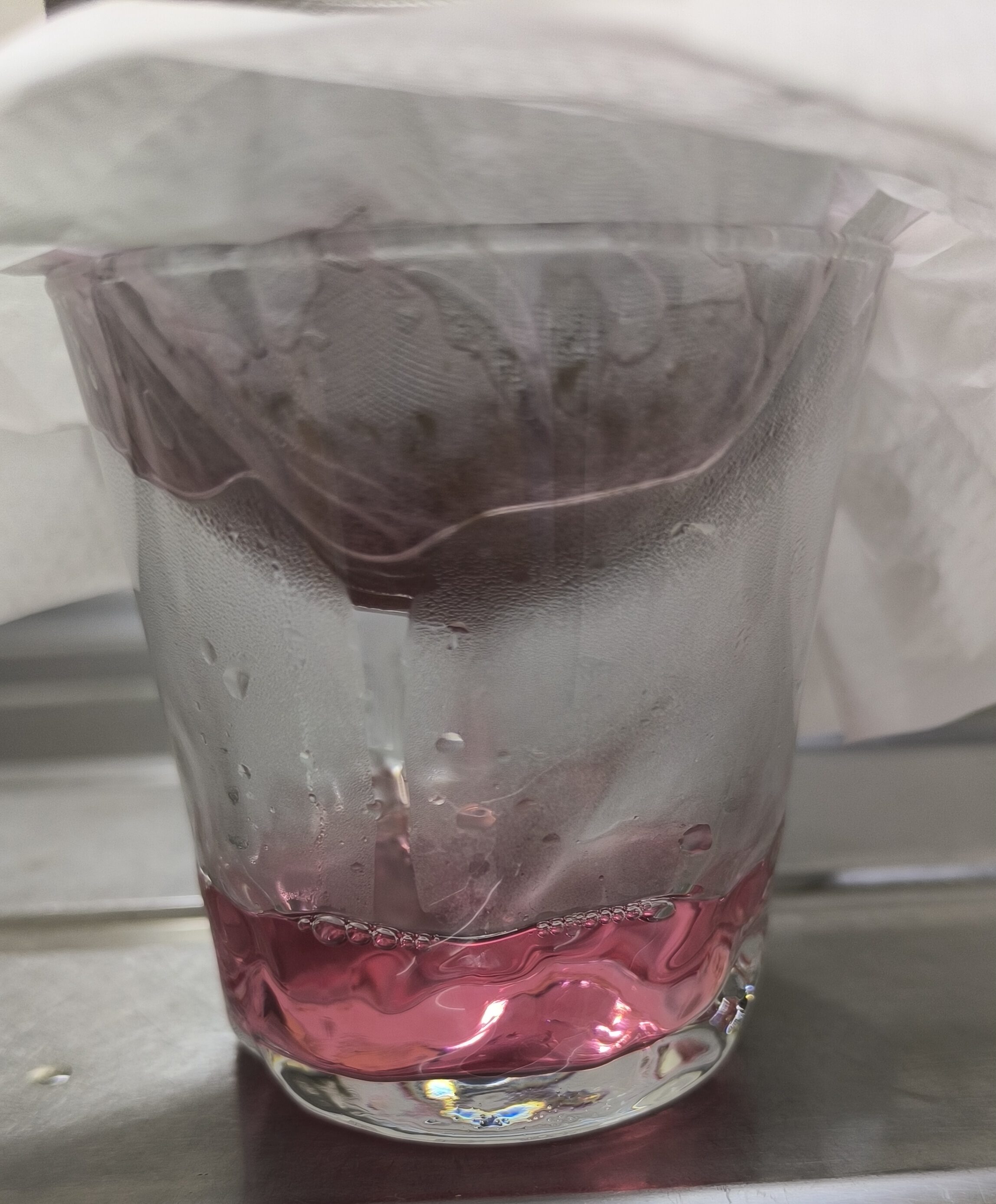 茶こしとキッチンペーパーで抽出液を丁寧に濾している様子