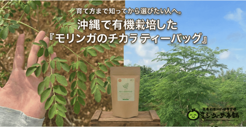 沖縄で有機栽培した『モリンガのチカラ ティーバッグ』
