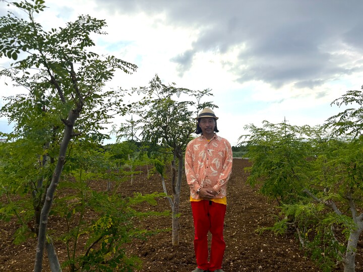 モリンガ畑と河野さん