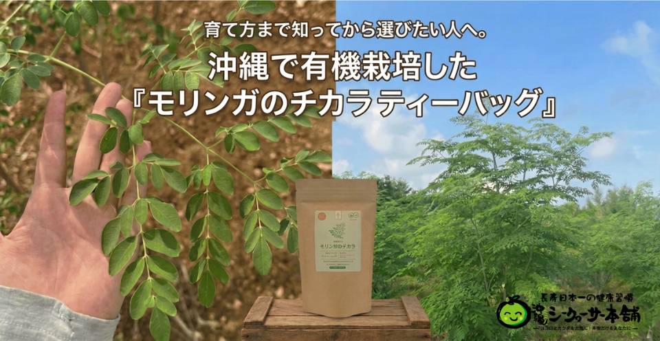 育て方まで知ってから選びたい人へ。沖縄で有機栽培した『モリンガのチカラ ティーバッグ』