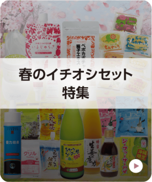 春のイチオシセット特集